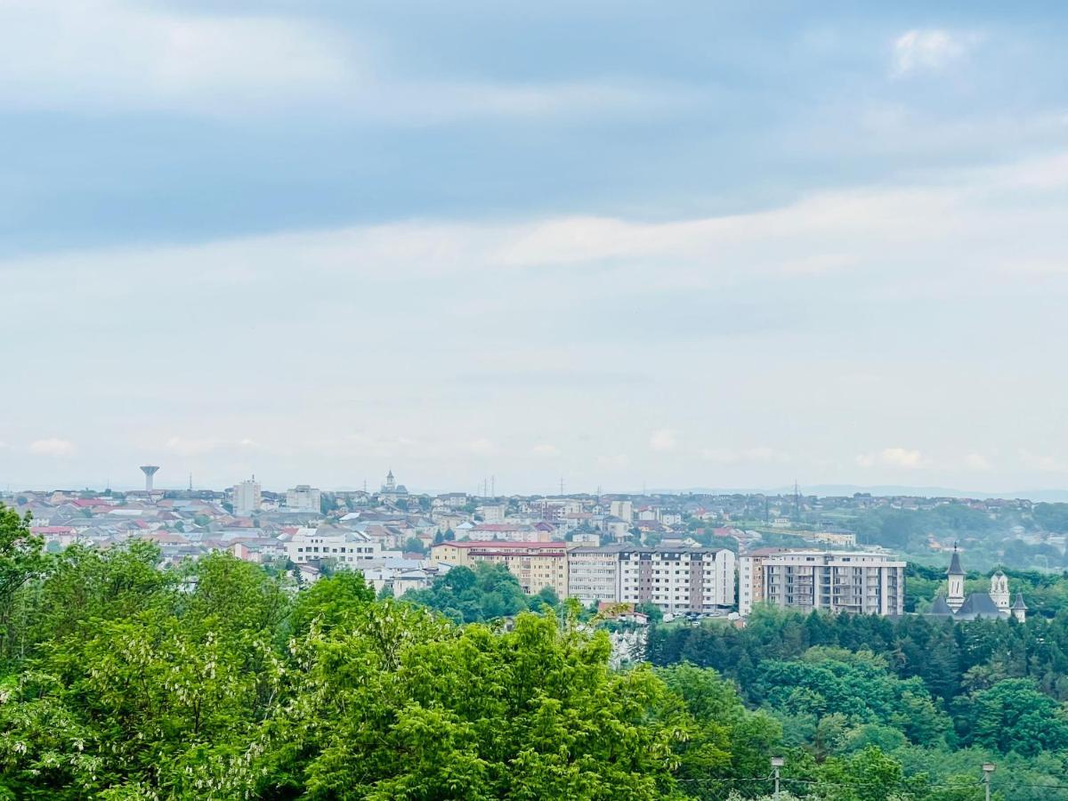 Altheda Living Zamca C4 Apartment Suceava Ngoại thất bức ảnh