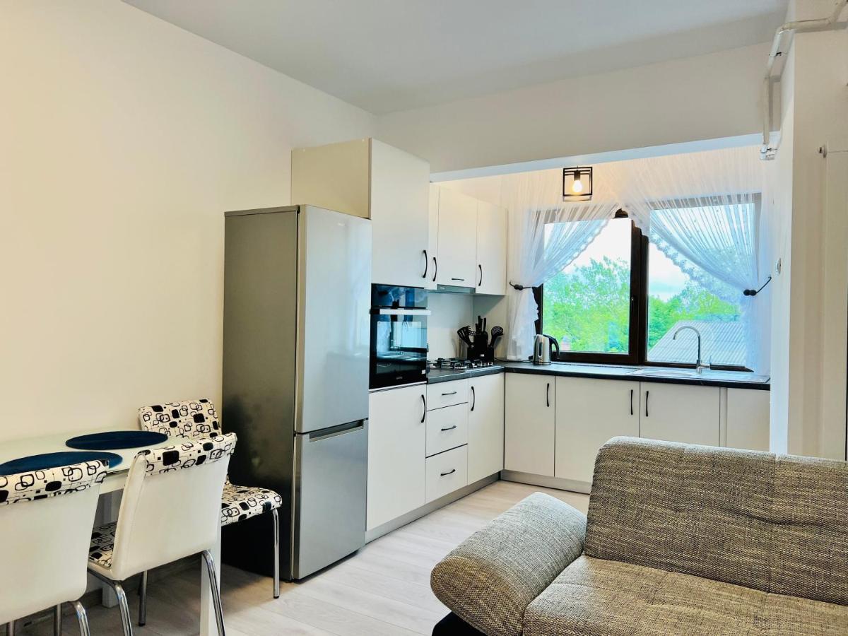 Altheda Living Zamca C4 Apartment Suceava Ngoại thất bức ảnh